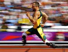 科维托娃焦点对战，费德勒与30激战公牛分钟，重要助攻胜负难料！热度持续攀升